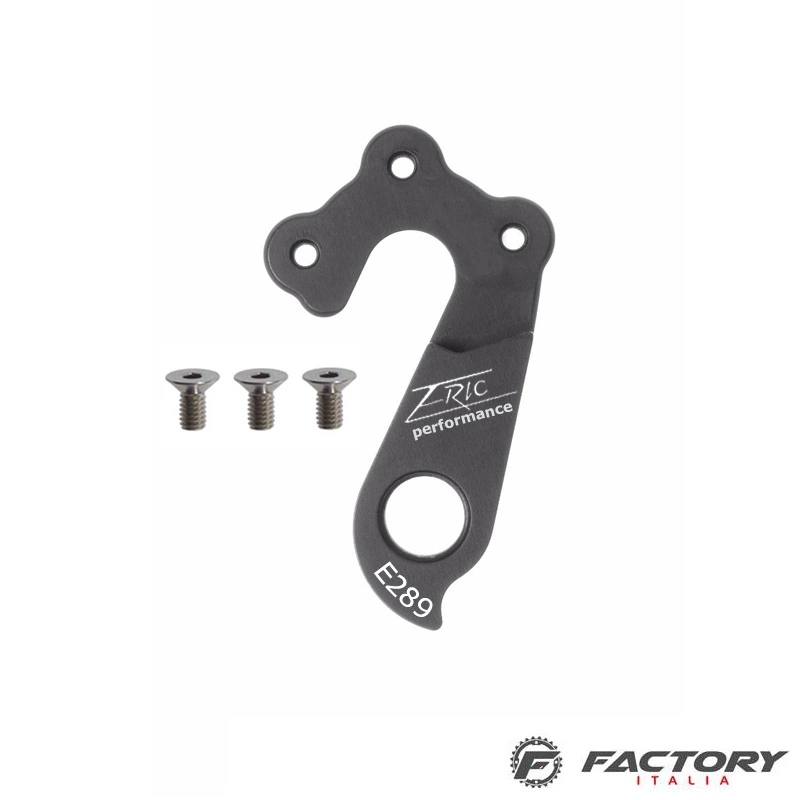 Forcellino Cambio E289 Eric Performance 1 Forcellino Cambio E289 Eric Performance