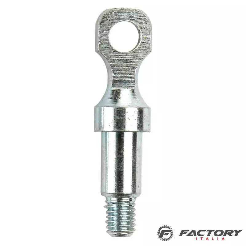 BRN Pernetto 6,5 Mm R 1 BRN Pernetto 6,5 Mm R